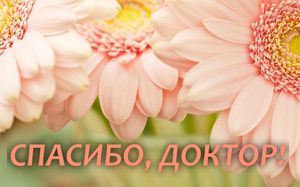 Высочайший профессионализм!