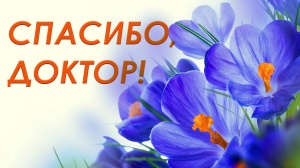 Всегда отзывчивы и готовы помочь!