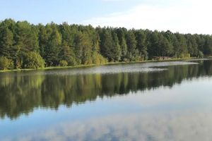 Городские власти напоминают сургутянам о запрете купания на водных объектах и призывают позаботиться о безопасности детей 