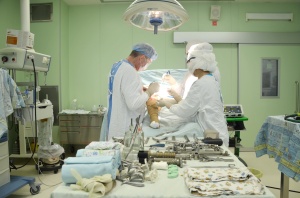 В Сургуте пройдет научная конференция «Эндопротезирование суставов. Взгляд от истоков до настоящего времени. Этапы развития»