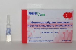 В Сургутской травмбольнице готовятся к сезону клещей: на подходе крупная партия вакцины для экстренной профилактики энцефалита 