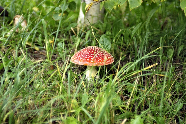 Мир через объектив! В Травматологической больнице Сургута подвели итоги корпоративного конкурса «Фотокраски» 