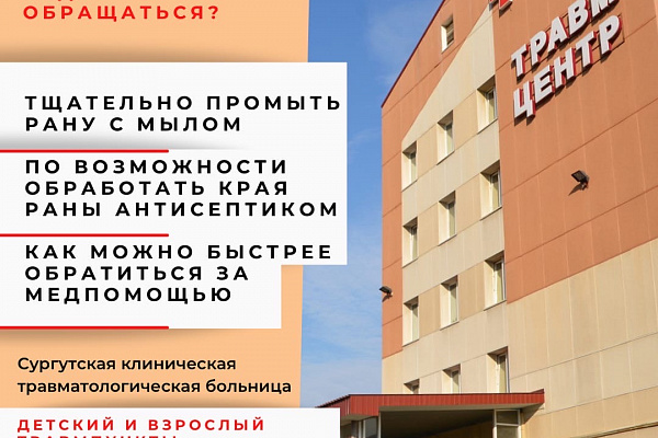 В 2020 году за медицинской помощью в Травмбольницу после укуса животного обратились 1 389 человек