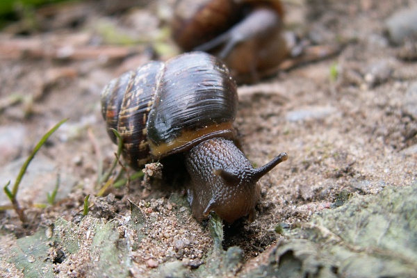 Мир через объектив! В Травматологической больнице Сургута подвели итоги корпоративного конкурса «Фотокраски» 