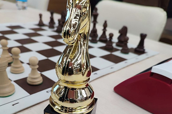 Медсестра Сургутской травмбольницы стала лучшей шахматисткой года среди медиков Югры