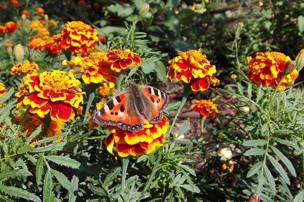 Мир через объектив! В Травматологической больнице Сургута подвели итоги корпоративного конкурса «Фотокраски» 