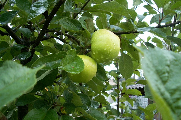 Мир через объектив! В Травматологической больнице Сургута подвели итоги корпоративного конкурса «Фотокраски» 