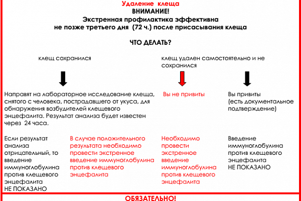 Экстренная вакцинация от клещевого энцефалита. Экстренная профилактика клещевого энцефалита. Экстренная специфическая профилактика клещевого энцефалита. Экстренная профилактика клещевого энцефалита схема. Экстренная профилактика клещевого вирусного энцефалита.