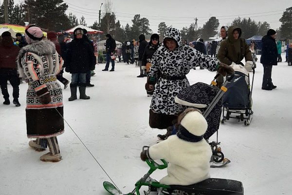 На оленях утром ранним. Наши сотрудники побывали на национальном празднике народов ханты и манси в д. Русскинская