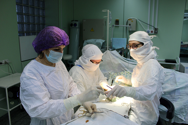 Народное признание. Наши врачи и клиника – среди лучших по итогам Премии «ПроДокторов-2022»