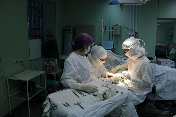 Дело тонкое. В преддверии Дня медработника – о роли микрохирургов в травматологии и о главном ювелире Сургутской травмбольницы 