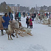 На оленях утром ранним. Наши сотрудники побывали на национальном празднике народов ханты и манси в д. Русскинская
