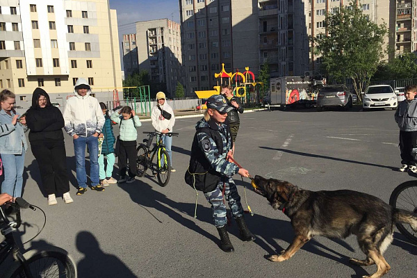 Полезные советы для безопасного лета. Врачи Сургутской травмбольницы посетили детский праздник