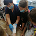 Художники во всём видят прекрасное. С аншлага в гипсовом кабинете началась очередная детская экскурсия по Травмбольнице