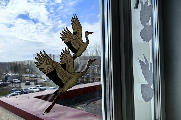 Традиция, объединяющая поколения. Сургутская травмбольница украсила "Окна Победы"